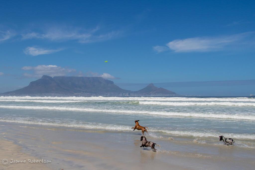 Atlantic Breeze Hotell Cape Town Eksteriør bilde