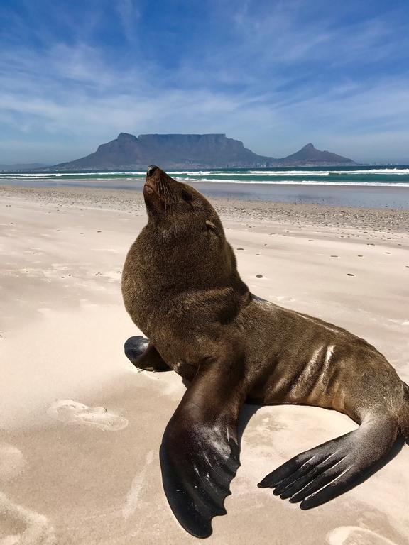 Atlantic Breeze Hotell Cape Town Eksteriør bilde